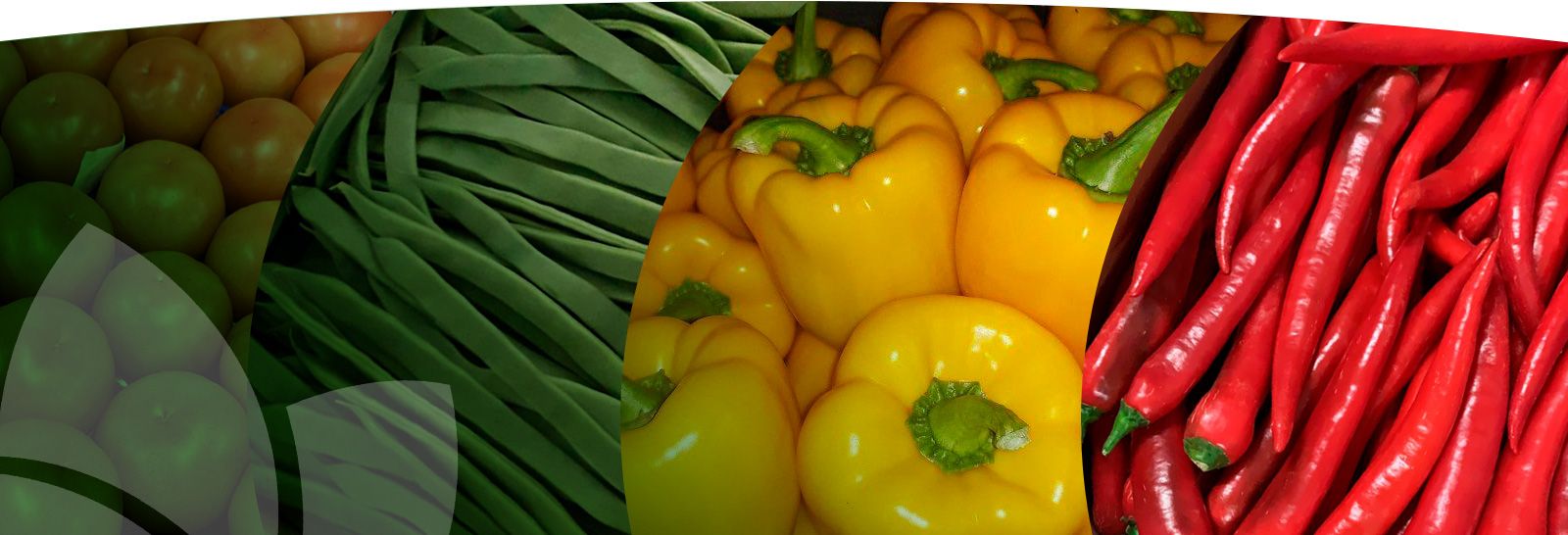 MALAYA IMPORT EXPORT