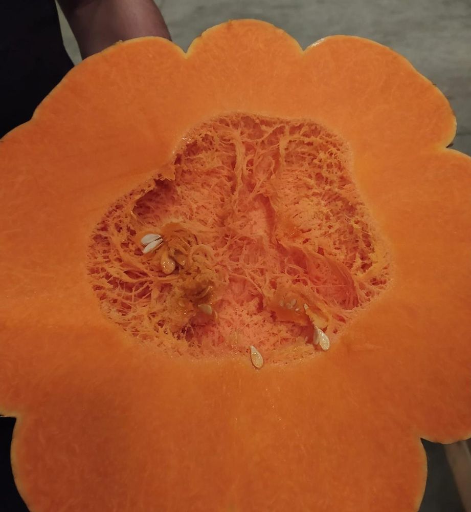 Winter Squash