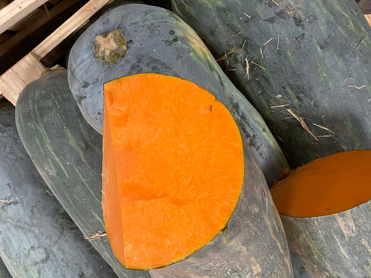 Calabaza