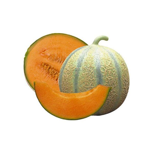 Melón Cantaloup