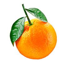 Citricos