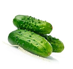 Pepino