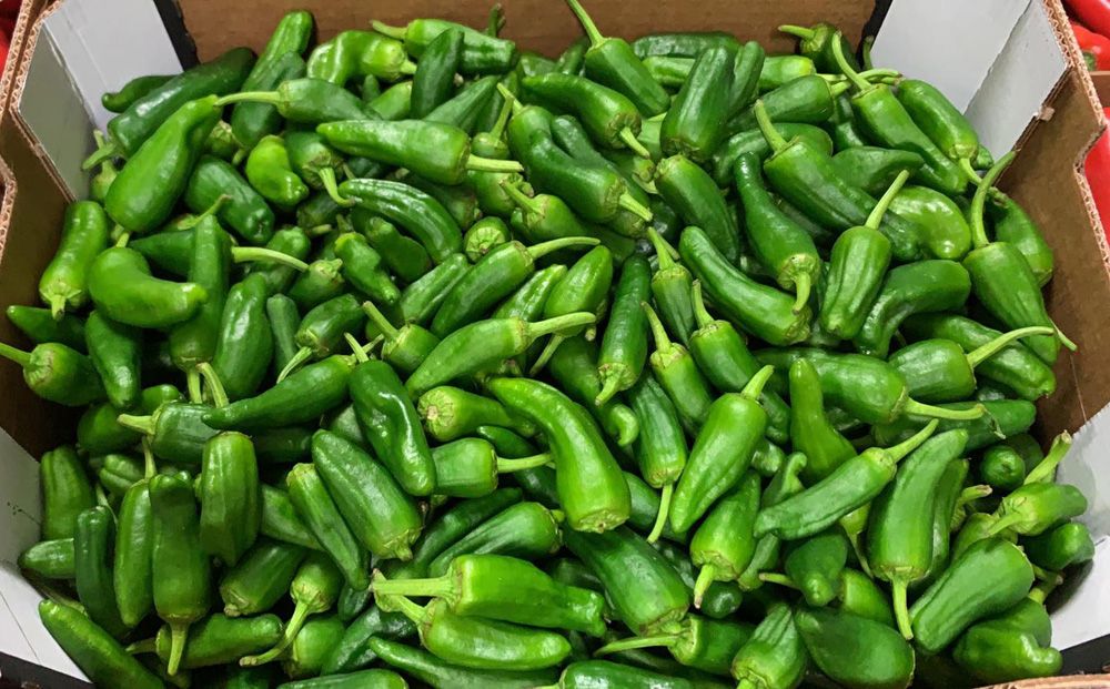 Padrón Peppers
