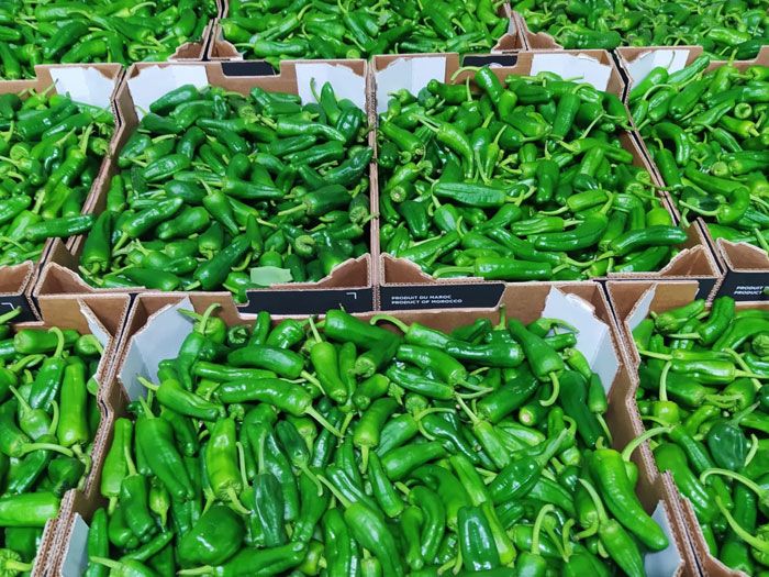 Guernica Peppers