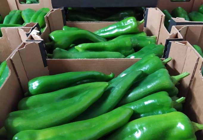 Italian Peppers