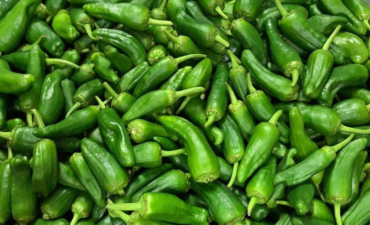 Padrón Peppers