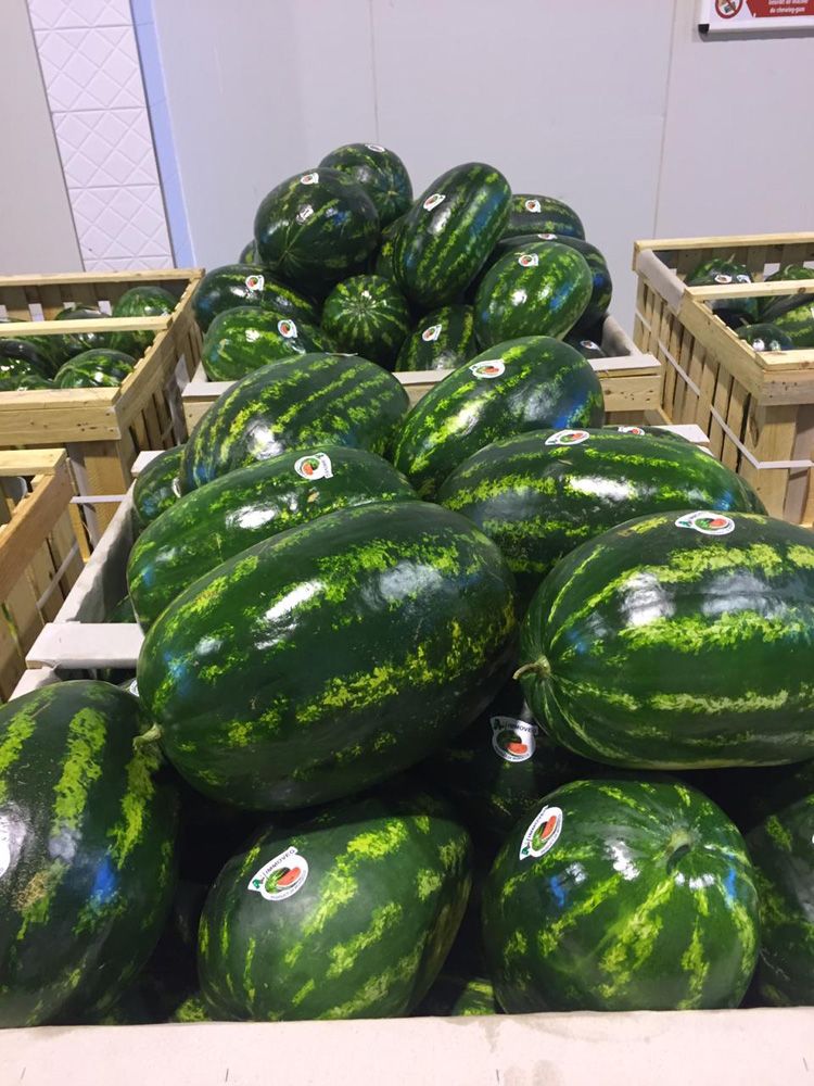 Watermelon