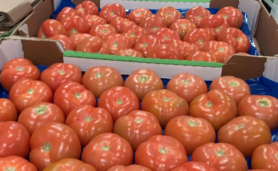 Tomate
