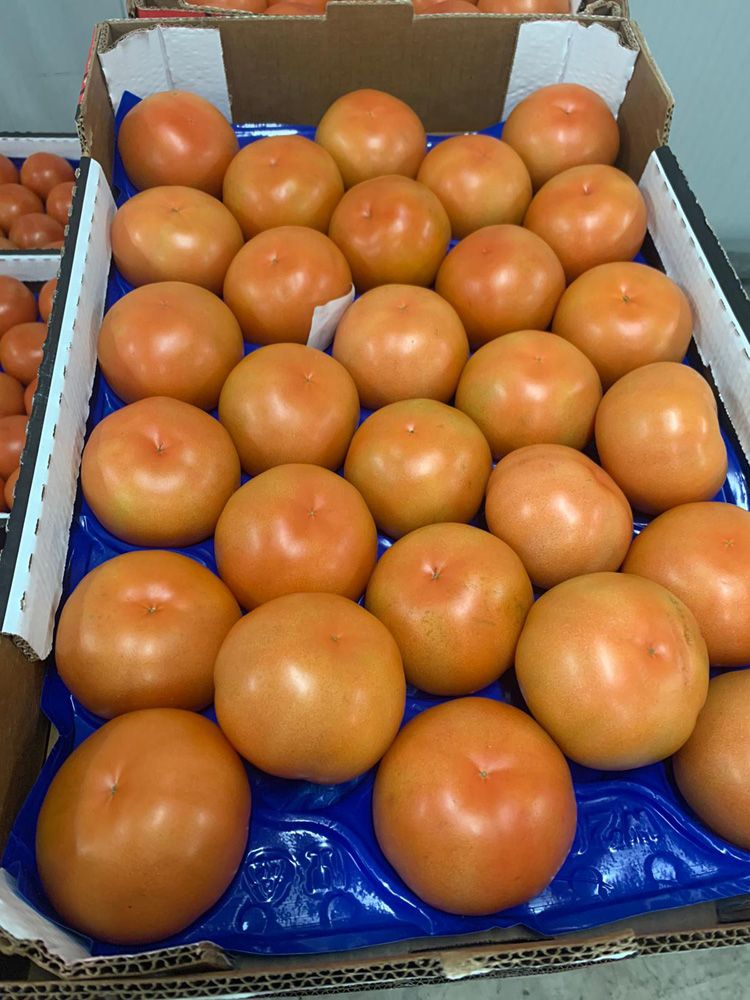 Tomate