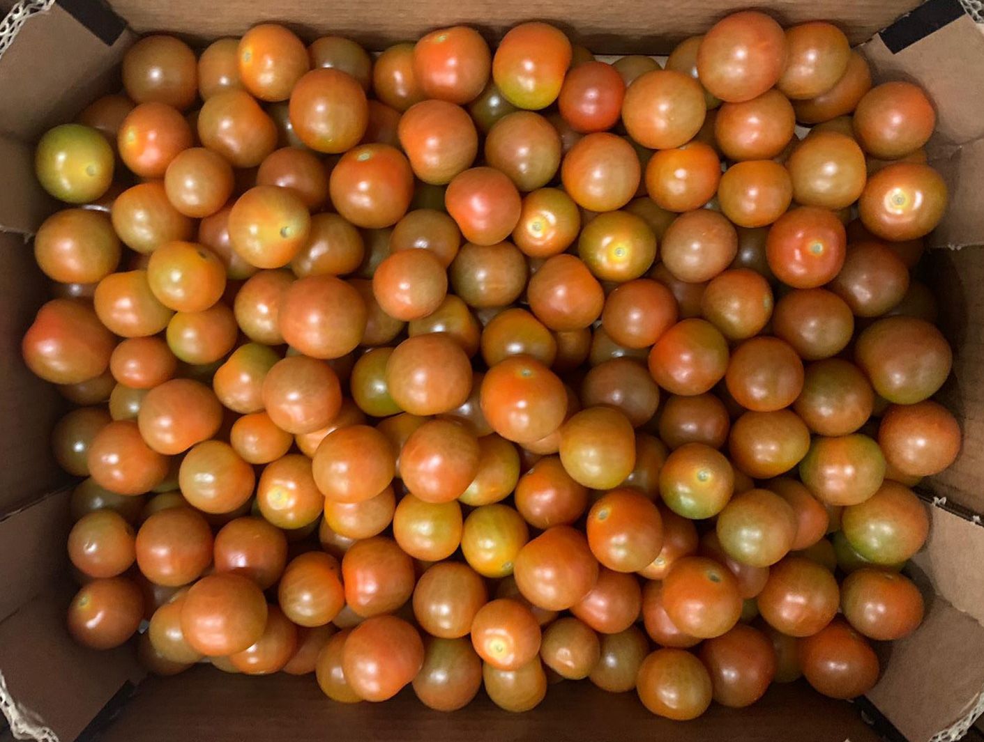 Tomate